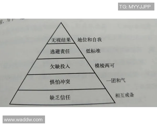 成都羽毛球队战术解析：聚焦技术与团队协作的完美结合