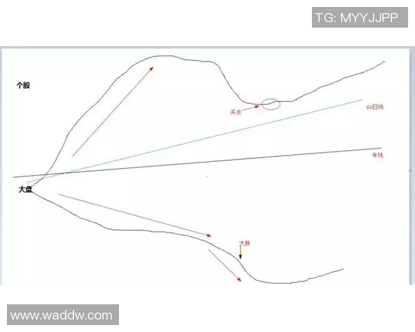 杭州乒乓球队灵活性分析与战术调整的深度探讨与研究