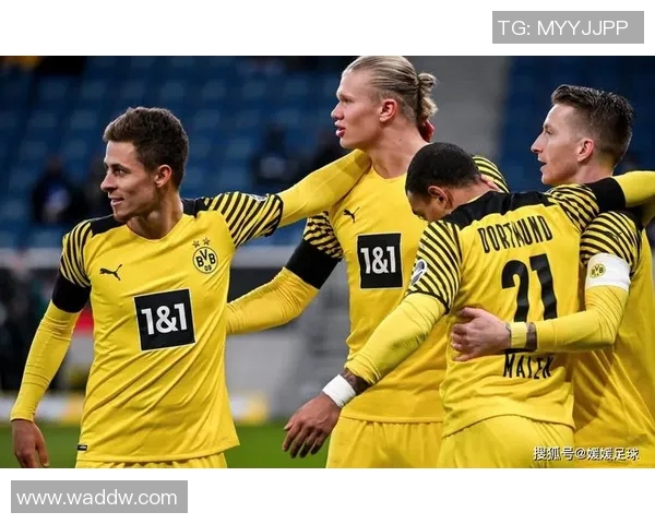 沃尔夫斯堡主场取胜，战胜强敌霍芬海姆展现实力