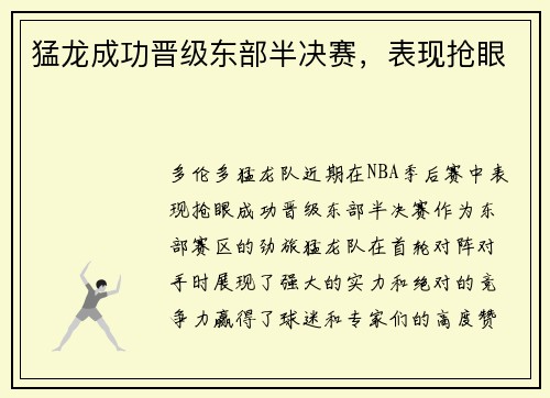 猛龙成功晋级东部半决赛，表现抢眼